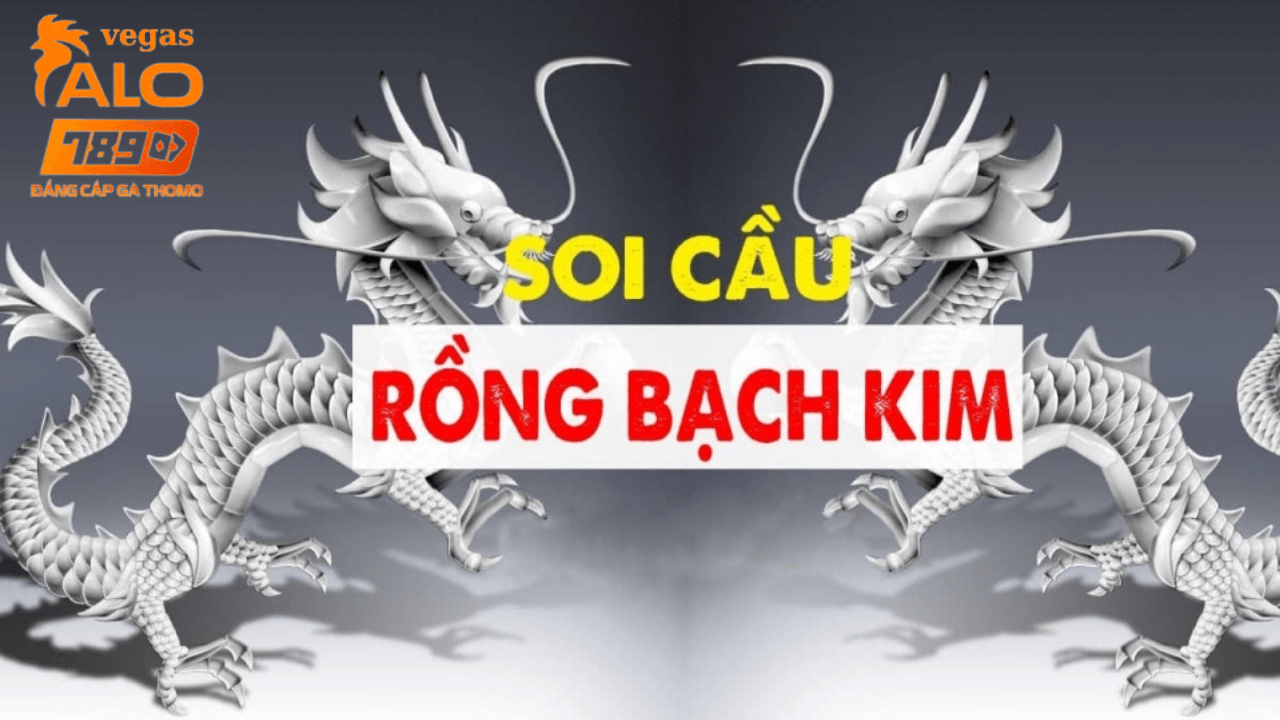 soi cầu rông bạch kim 247 tại nhà cái alo789 